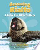 Rescuing Rialto: A Baby Sea Otter's Story cover
