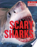 Scary Sharks cover