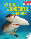Weird and Wonderful Sharks cover