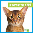 Abyssinians cover