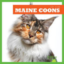 Maine Coons cover