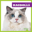 Ragdolls cover