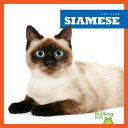 Siamese cover