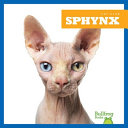 Sphynx cover