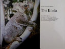 Koala cover