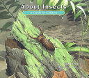 About Insects: A Guide for Children cover