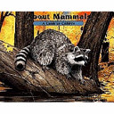 About Mammals: A Guide for Children cover