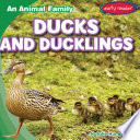 Ducks and Ducklings cover