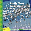 Arctic Tern Migration cover