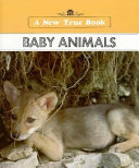 Baby Animals cover
