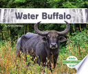 Water Buffalo cover