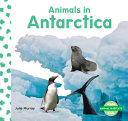 Animals in Antarctica cover