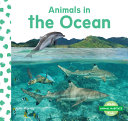 Animals in the Ocean cover