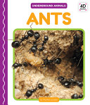 Ants cover