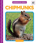 Chipmunks cover
