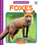 Foxes cover