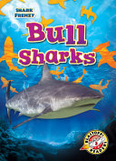 Bull Sharks cover