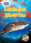Lemon Sharks cover