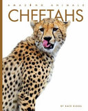 Cheetahs (Amazing Animals, 2021 Edition) cover