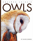 Owls (Amazing Animals, 2021 Edition) cover