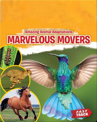 Marvelous Movers cover