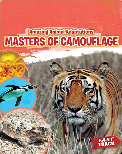 Masters of Camouflage cover