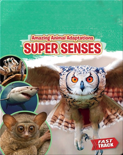 Super Senses cover