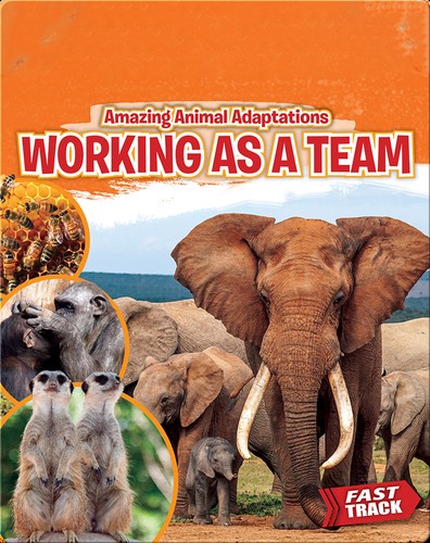Working as a Team cover
