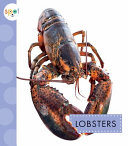 Lobsters cover