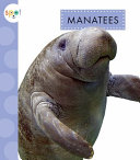 Manatees (Amicus) cover