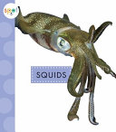 Squids cover
