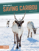 Saving Caribou cover
