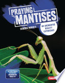 Praying Mantises: An Augmented Reality Experience cover