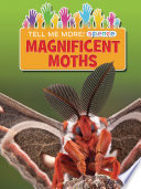 Magnificent Moths cover