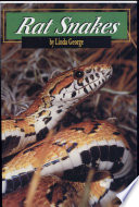 Rat Snakes cover