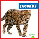 Jaguars cover