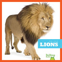 Lions cover
