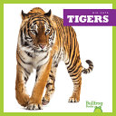 Tigers cover
