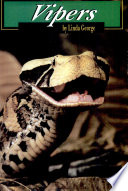 Vipers cover