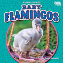 Baby Flamingos cover