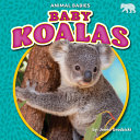 Baby Koalas cover