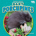 Baby Porcupines cover