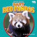 Baby Red Pandas cover