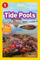 Tide Pools cover
