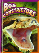 Boa Constrictors cover