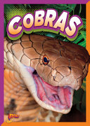 Cobras (English) cover