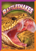 Rattlesnakes cover