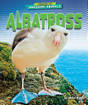 Albatross cover