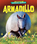 Armadillo cover