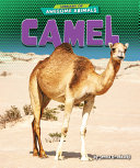 Camel cover